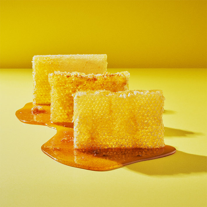 shiseido quick gentle cleanser